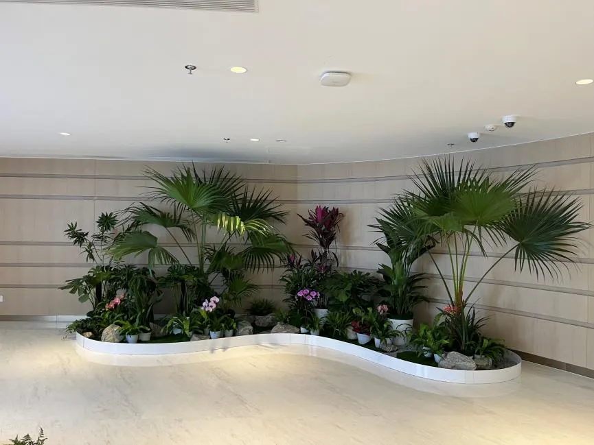 慈溪绿植租赁价格实惠