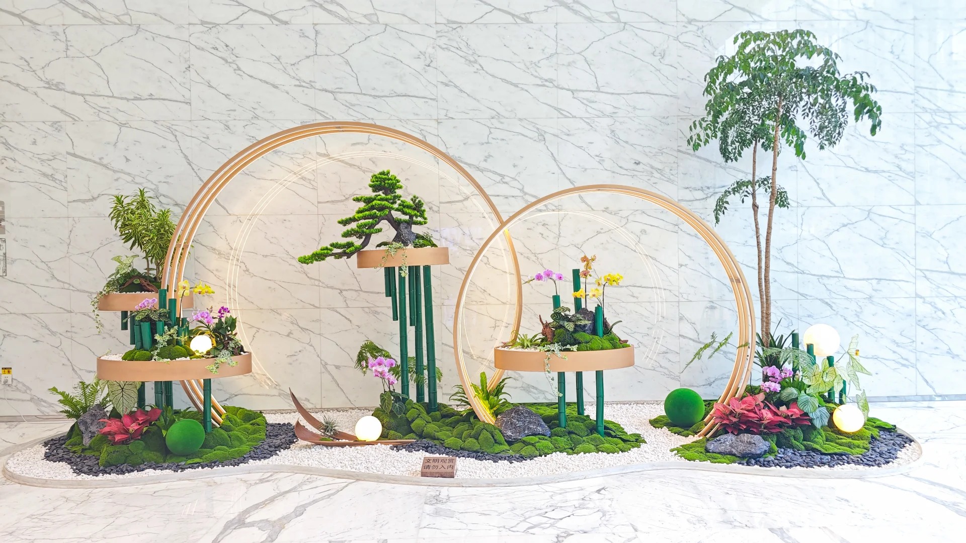 寻镇海专业植物租赁，扮靓您的小天地